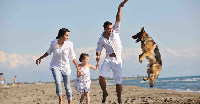 The Non-Toxic Candle Company Born from Science & Self-Care: Balura Scents image