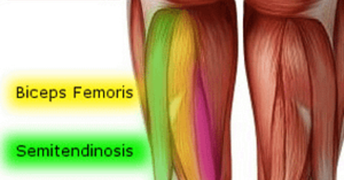 Say Goodbye to Hamstring Pain image