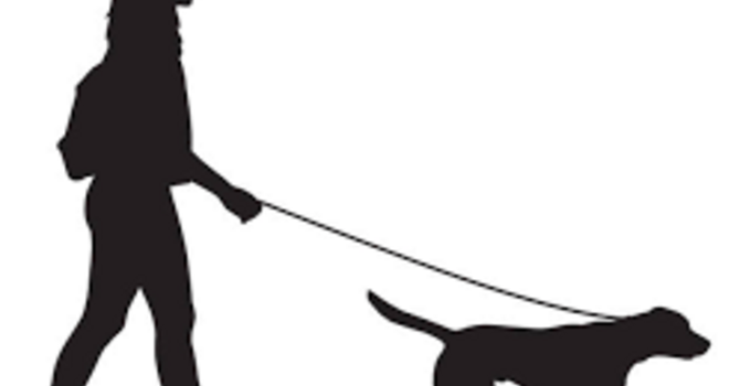 Walk Your Dog Without the Back Pain image