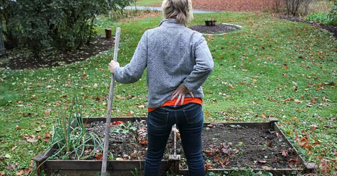 Protect Your Back This Gardening Season